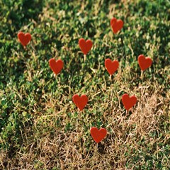 Valentine Day Heart Forest Play Mat (square)