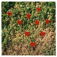 Valentine Day Heart Forest Wooden Puzzle Square