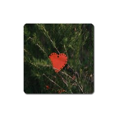 Valentine Day Heart Love Square Magnet by artworkshop