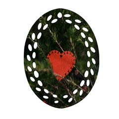 Valentine Day Heart Love Ornament (oval Filigree)