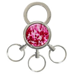 Valentine Day Heart Symbol Capsule 3-ring Key Chain by artworkshop