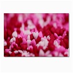 Valentine Day Heart Symbol Capsule Postcard 4 x 6  (Pkg of 10) Front