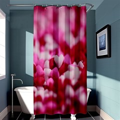 Valentine Day Heart Symbol Capsule Shower Curtain 36  X 72  (stall)  by artworkshop