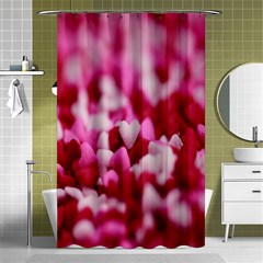 Valentine Day Heart Symbol Capsule Shower Curtain 48  X 72  (small)  by artworkshop