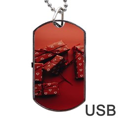 Valentines Gift Dog Tag Usb Flash (two Sides) by artworkshop