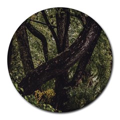 Botanical Motif Trees Detail Photography Round Mousepad by dflcprintsclothing