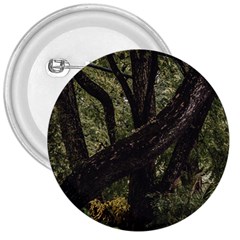 Botanical Motif Trees Detail Photography 3  Buttons