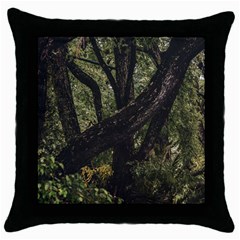 Botanical Motif Trees Detail Photography Throw Pillow Case (black) by dflcprintsclothing