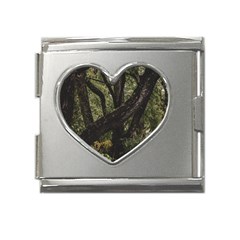 Botanical Motif Trees Detail Photography Mega Link Heart Italian Charm (18mm) by dflcprintsclothing