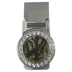 Botanical Motif Trees Detail Photography Money Clips (cz)  by dflcprintsclothing