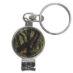 Botanical Motif Trees Detail Photography Nail Clippers Key Chain by dflcprintsclothing