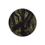 Botanical Motif Trees Detail Photography Rubber Coaster (Round) Front