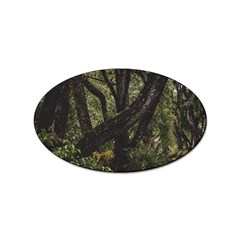 Botanical Motif Trees Detail Photography Sticker Oval (10 Pack) by dflcprintsclothing