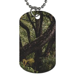 Botanical Motif Trees Detail Photography Dog Tag (two Sides) by dflcprintsclothing