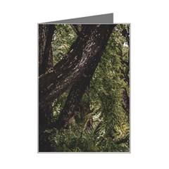 Botanical Motif Trees Detail Photography Mini Greeting Card by dflcprintsclothing