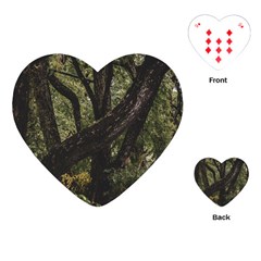 Botanical Motif Trees Detail Photography Playing Cards Single Design (heart)