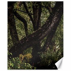 Botanical Motif Trees Detail Photography Canvas 16  X 20  by dflcprintsclothing