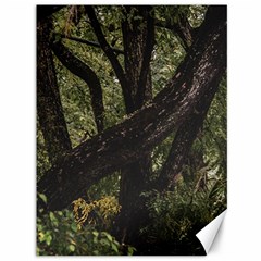 Botanical Motif Trees Detail Photography Canvas 36  X 48  by dflcprintsclothing