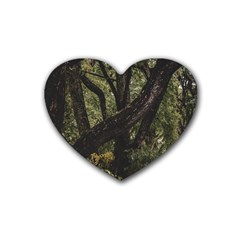 Botanical Motif Trees Detail Photography Rubber Heart Coaster (4 Pack) by dflcprintsclothing