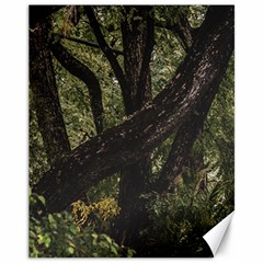 Botanical Motif Trees Detail Photography Canvas 11  X 14  by dflcprintsclothing