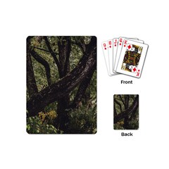 Botanical Motif Trees Detail Photography Playing Cards Single Design (mini)