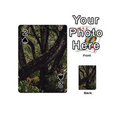 Botanical Motif Trees Detail Photography Playing Cards 54 Designs (mini)