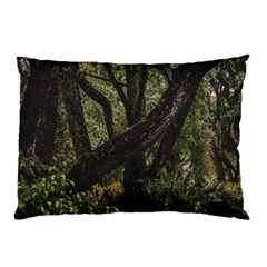 Botanical Motif Trees Detail Photography Pillow Case (two Sides) by dflcprintsclothing