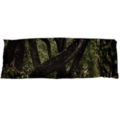 Botanical Motif Trees Detail Photography Body Pillow Case Dakimakura (two Sides) by dflcprintsclothing