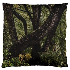 Botanical Motif Trees Detail Photography Large Cushion Case (one Side) by dflcprintsclothing