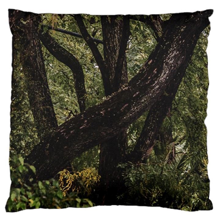 Botanical Motif Trees Detail Photography Large Cushion Case (Two Sides)