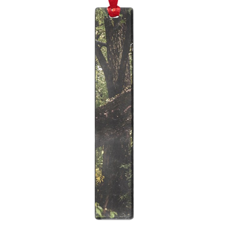 Botanical Motif Trees Detail Photography Large Book Marks