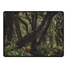 Botanical Motif Trees Detail Photography Fleece Blanket (small) by dflcprintsclothing