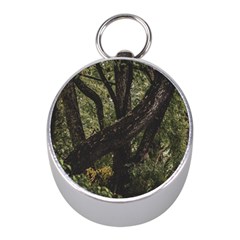 Botanical Motif Trees Detail Photography Mini Silver Compasses by dflcprintsclothing