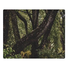 Botanical Motif Trees Detail Photography Premium Plush Fleece Blanket (large) by dflcprintsclothing