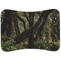 Botanical Motif Trees Detail Photography Velour Seat Head Rest Cushion by dflcprintsclothing