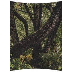 Botanical Motif Trees Detail Photography Back Support Cushion by dflcprintsclothing