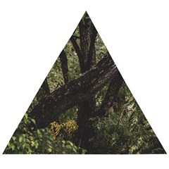 Botanical Motif Trees Detail Photography Wooden Puzzle Triangle by dflcprintsclothing