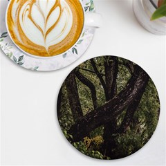 Botanical Motif Trees Detail Photography Uv Print Round Tile Coaster by dflcprintsclothing