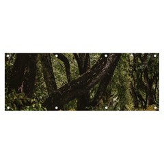 Botanical Motif Trees Detail Photography Banner And Sign 8  X 3  by dflcprintsclothing