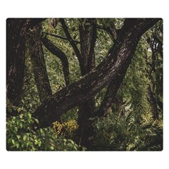 Botanical Motif Trees Detail Photography One Side Premium Plush Fleece Blanket (small) by dflcprintsclothing