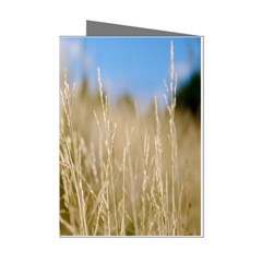 Close-up Ladang Whey Mini Greeting Cards (pkg Of 8) by artworkshop