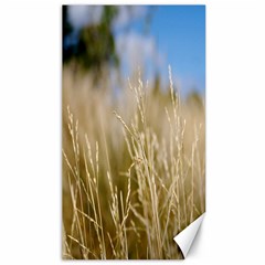 Close-up Ladang Whey Canvas 40  X 72  by artworkshop