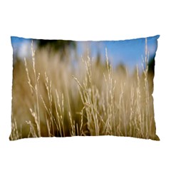 Close-up Ladang Whey Pillow Case (two Sides) by artworkshop