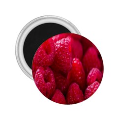 Raspberries 2 25  Magnets by artworkshop