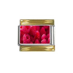 Raspberries Gold Trim Italian Charm (9mm) by artworkshop