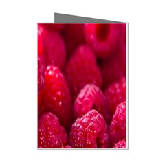 Raspberries Mini Greeting Cards (pkg Of 8) by artworkshop