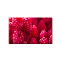 Raspberries Sticker (rectangular) by artworkshop