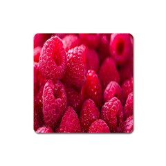 Raspberries Square Magnet by artworkshop