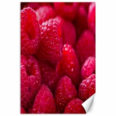 Raspberries Canvas 24  X 36  by artworkshop