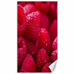 Raspberries Canvas 40  X 72  by artworkshop